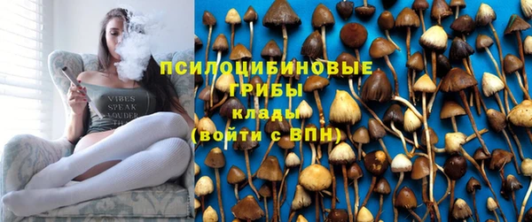 mdma Дмитриев