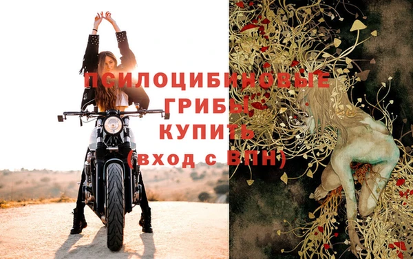 таблы Дмитров