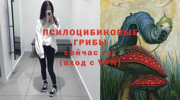 mdma Дмитриев